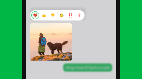Read more about Introducing: Message Reactions