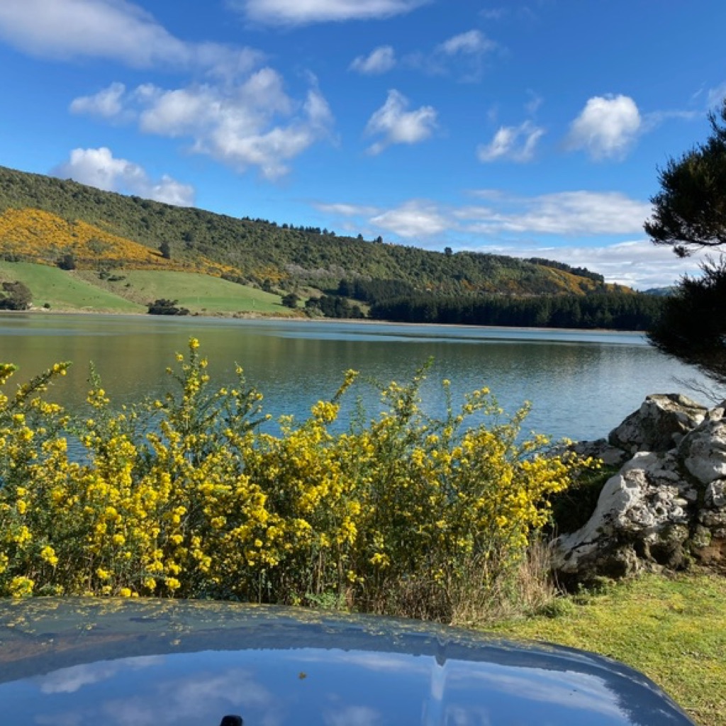 AppleMusic profile picture for @laminated