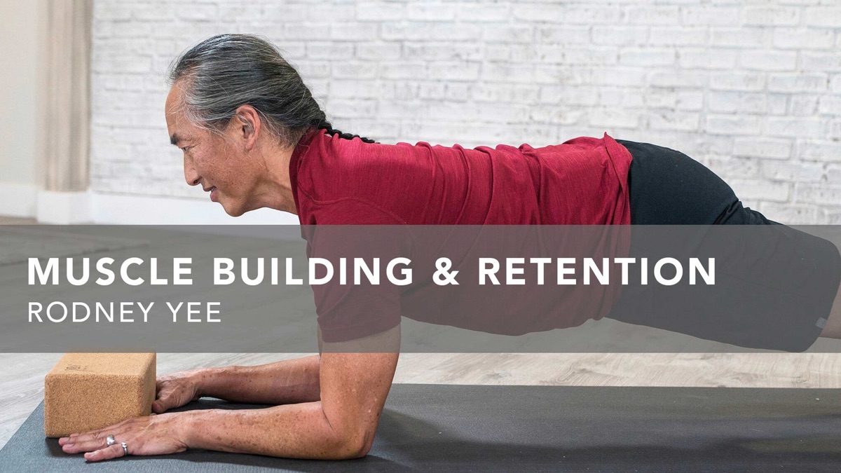 ‎Muscle Building and Retention - Apple TV