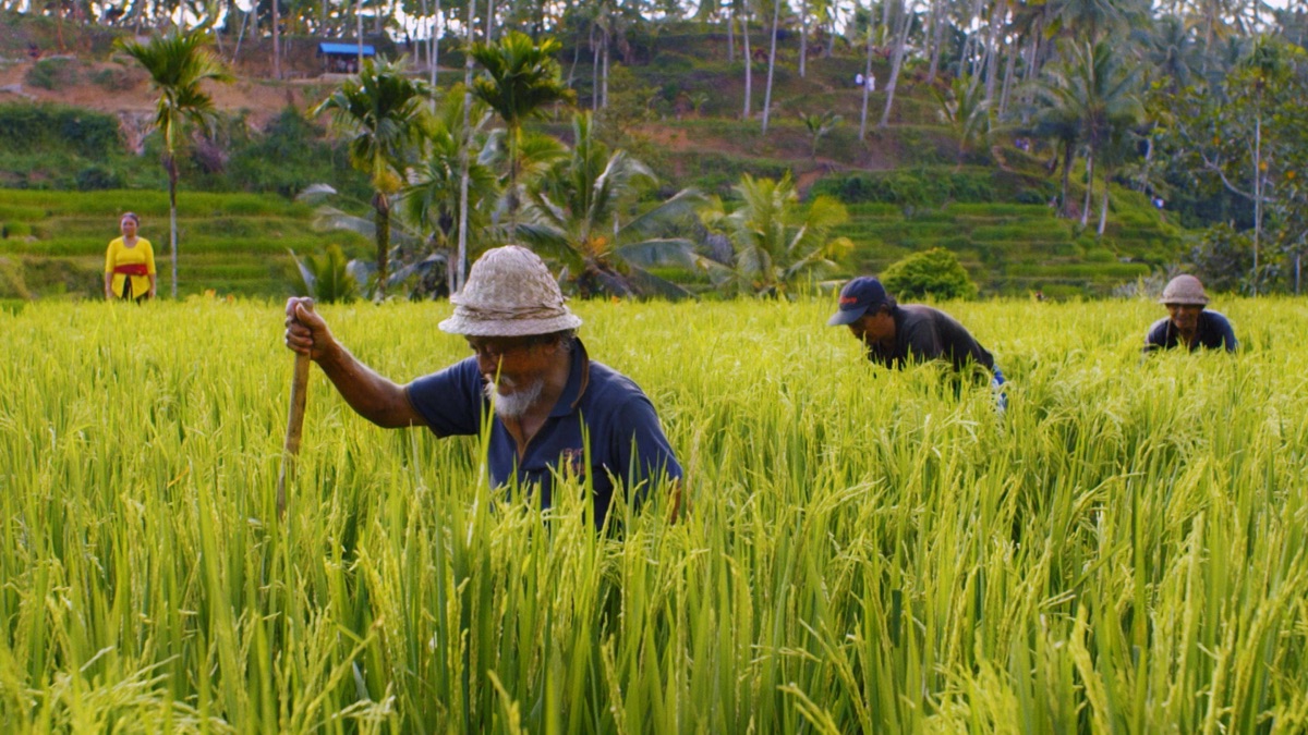 Indonesia Anthony Bourdain Parts Unknown (Series 12, Episode 3
