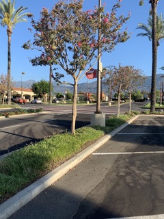 Mountain View Plaza 2