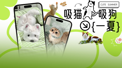 Read more about 吸猫吸狗一夏