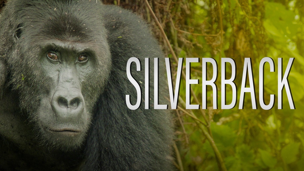 ‎Silverback - Apple TV