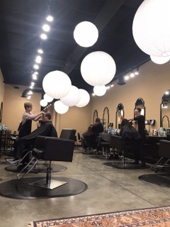 Salon Du Jour
