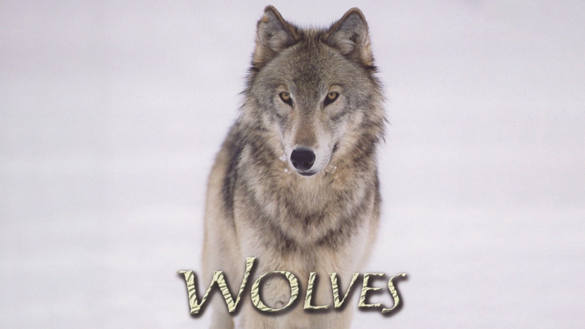‎Wolves - Apple TV