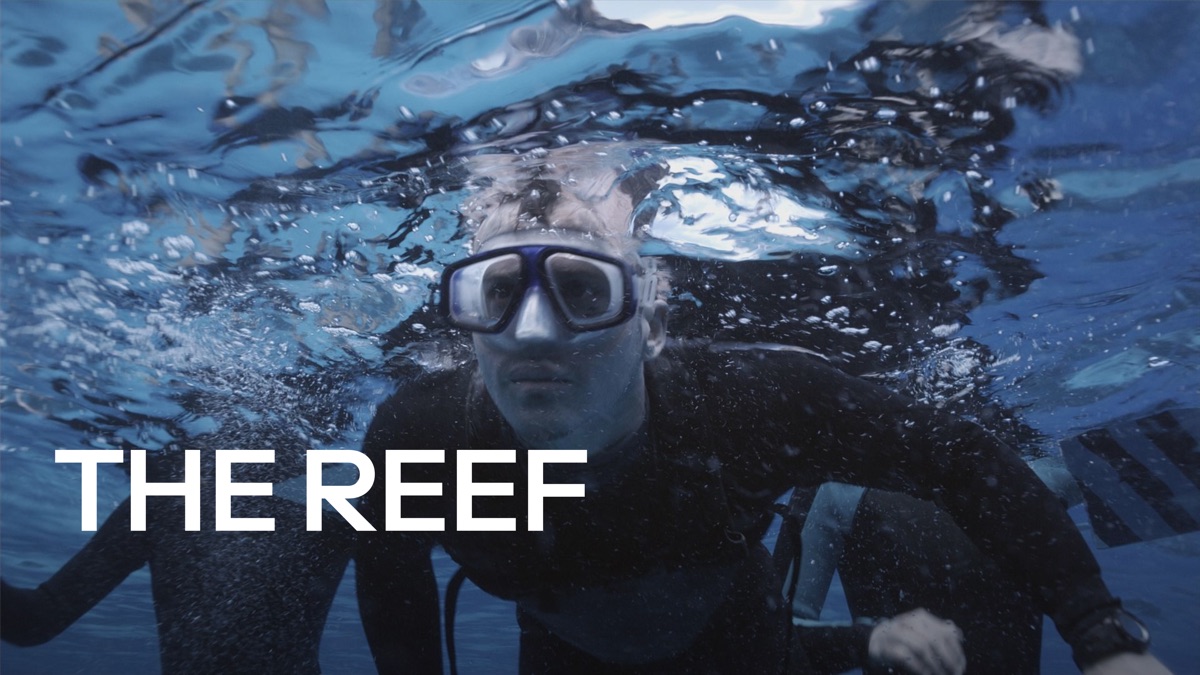 赤い珊瑚礁 オープン ウォーター Apple Tv