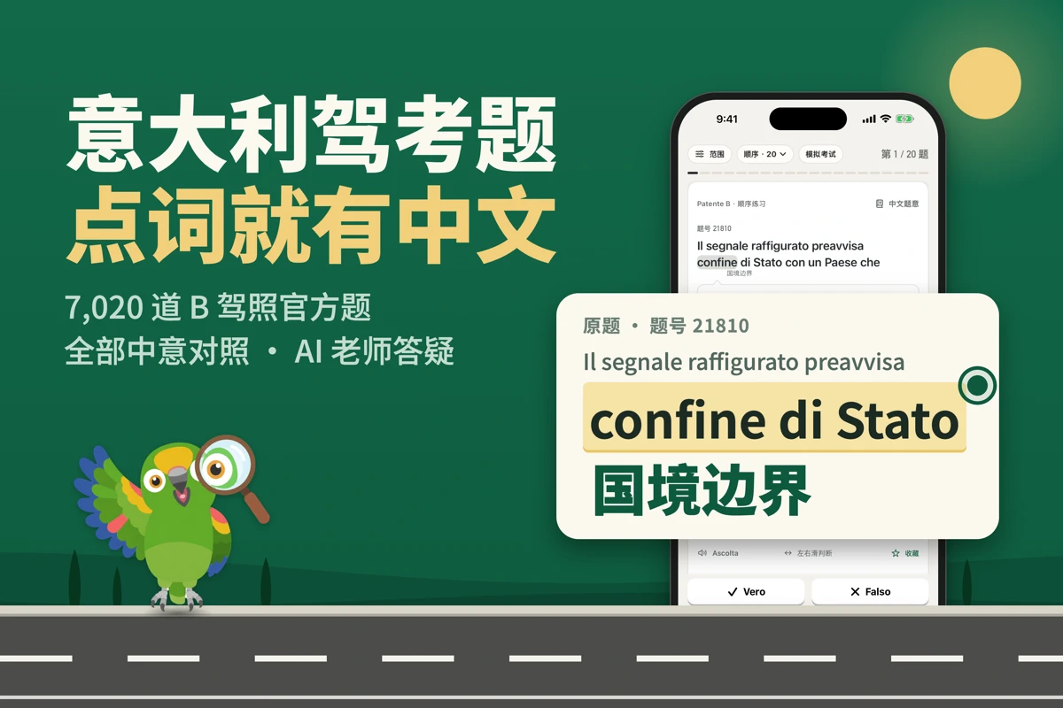 Pativo · 你一定要拿到驾照啊！ search result
