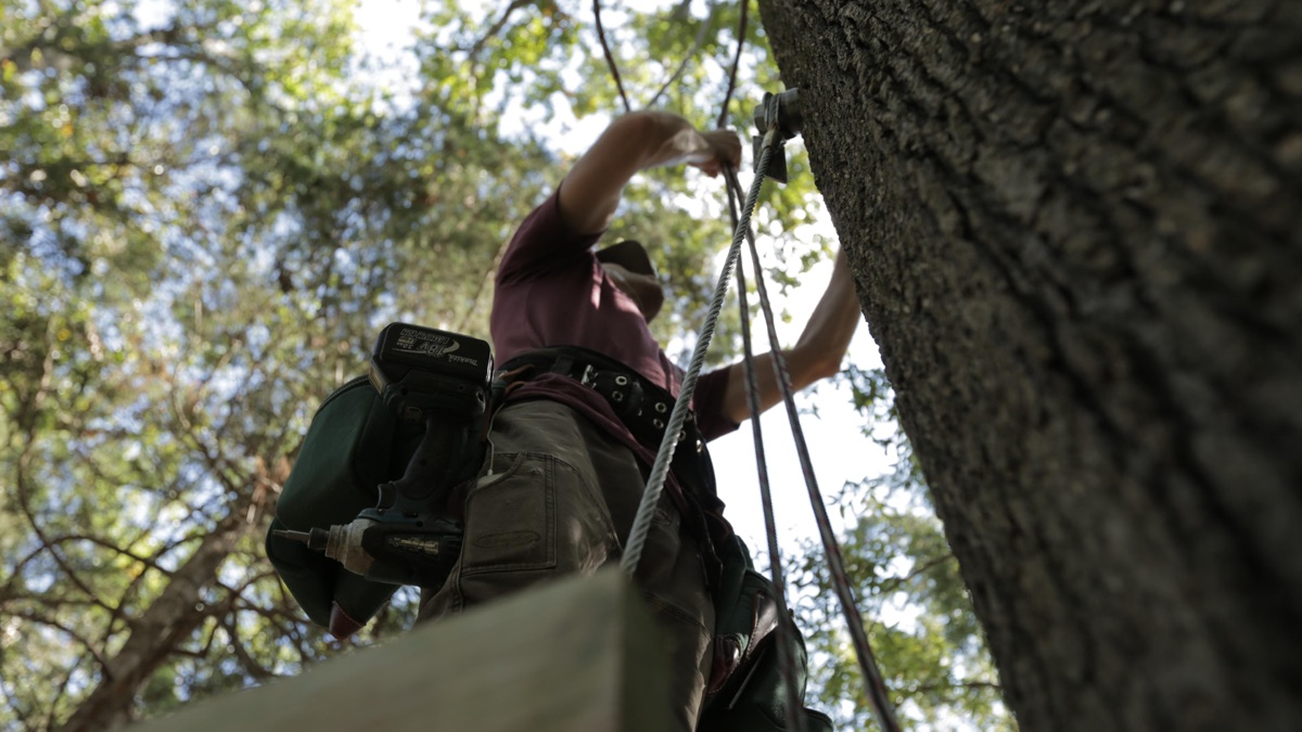 The Bird Barn Treehouse Treehouse Masters Series 9 Episode 6 Apple Tv Fi The Bird Barn Treehouse Treehouse Masters Series 9 Episode 6 Apple Tv Fi