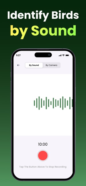 Bird Identifier: Call & Sound screenshot 4