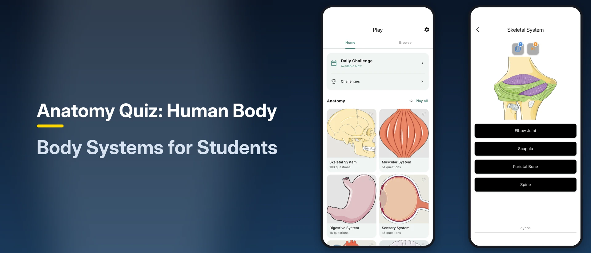 Anatomy Quiz: Human Body product page header