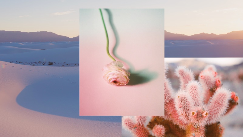 VSCO: Photo & Video Editor 活动「Combine and refine moments」配图