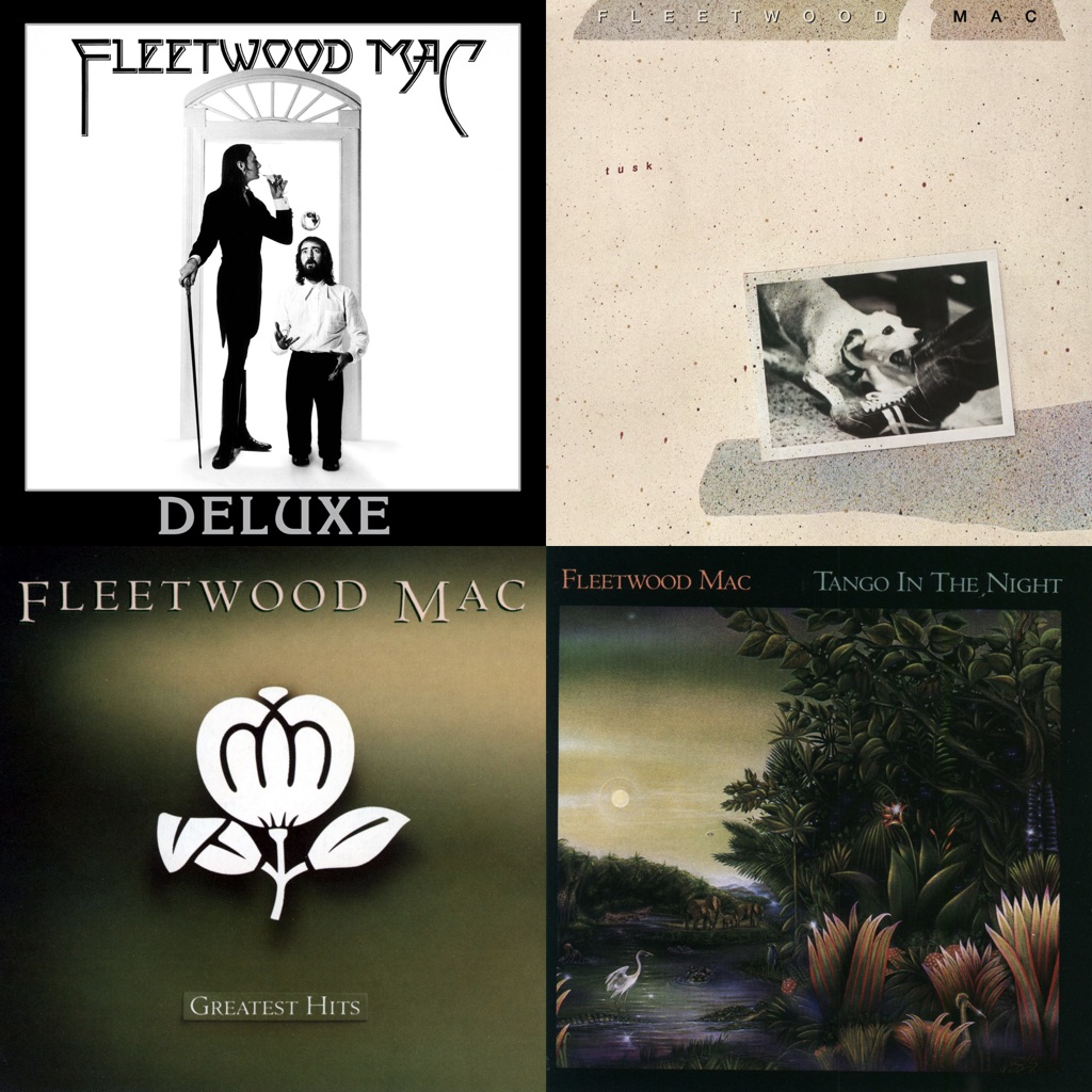 Fleetwood Mac: Next Steps