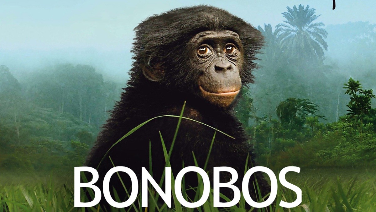 ‎Bonobos - Apple TV