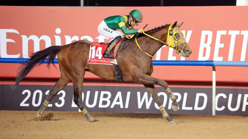 Dubai World Cup | Betting Live Event