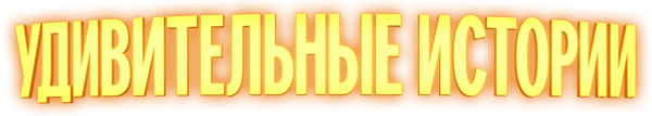 Удивительные истории