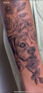 Fantastic Damage photo 4