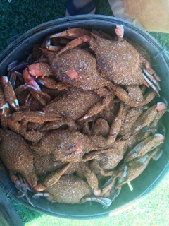 Chesapeake City Crab Shack