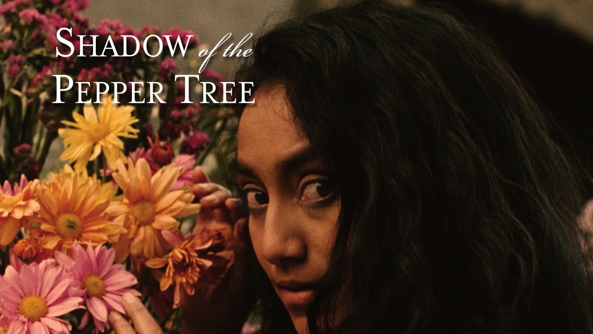 ‎Shadow of the Pepper Tree - Apple TV