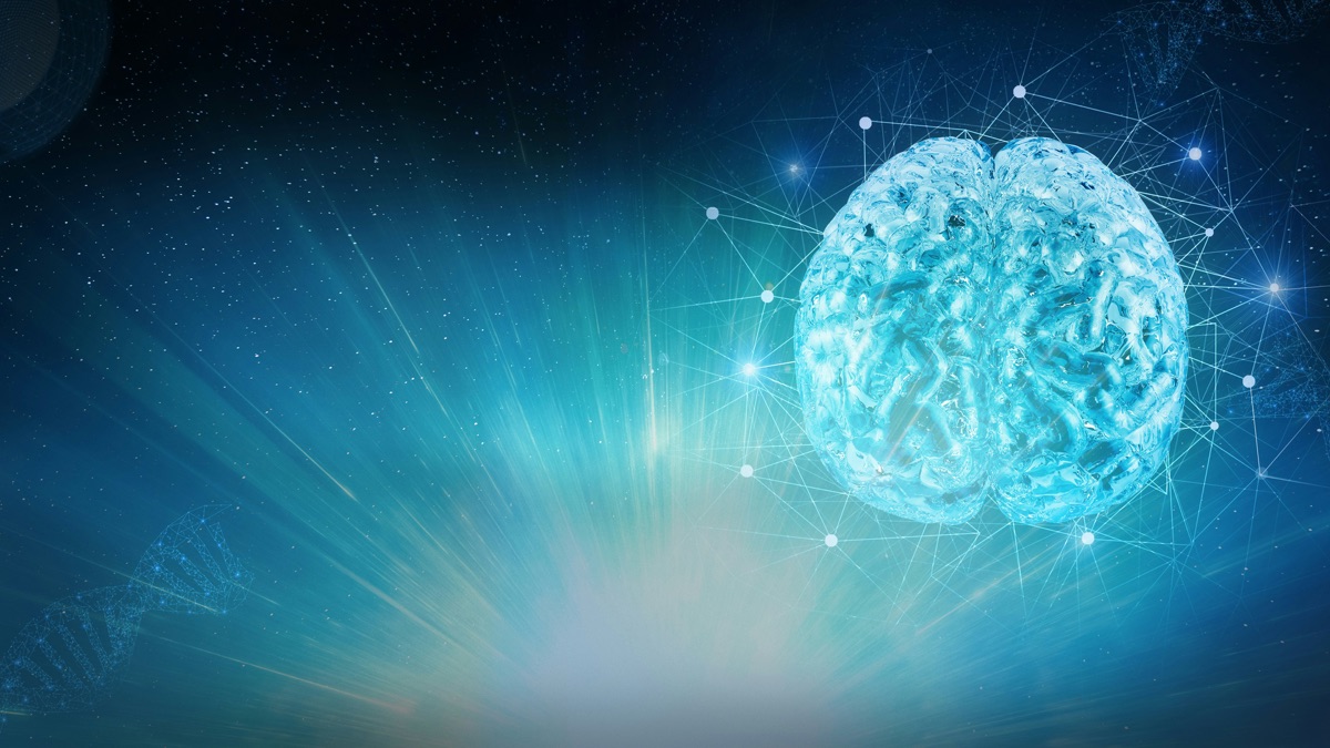 Session 3: The Biological Imperative - The Science of Resilience: How ...