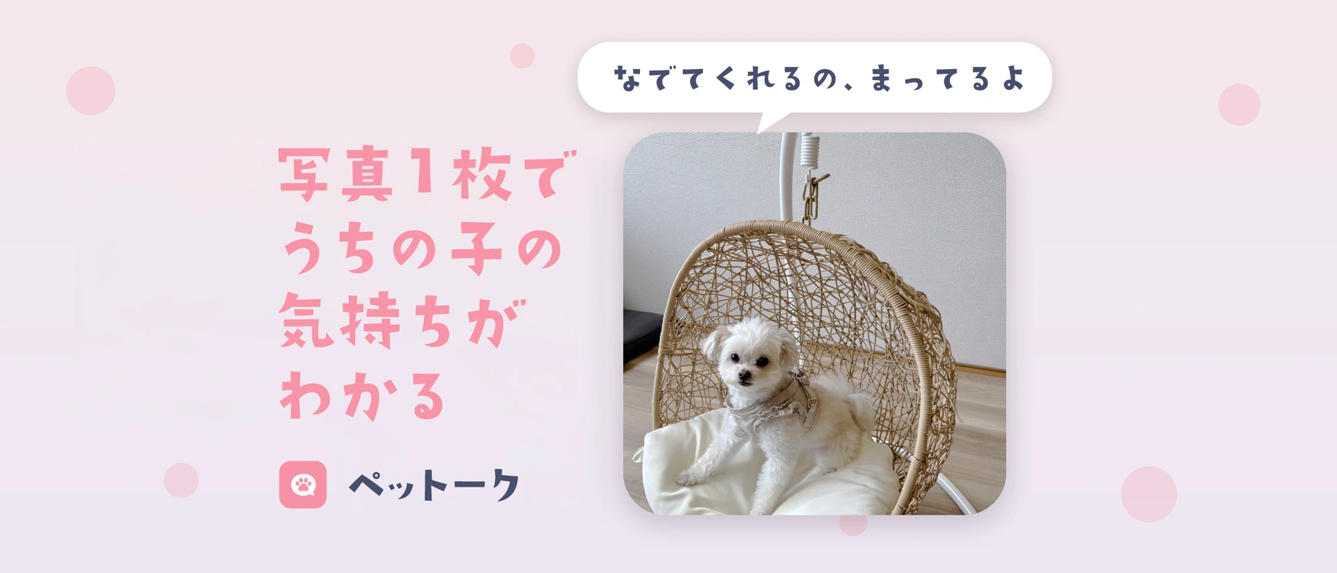 ペットーク：犬と猫のきもち翻訳 product page header