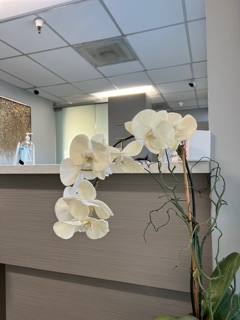 Cosmetic Dental of Westwood