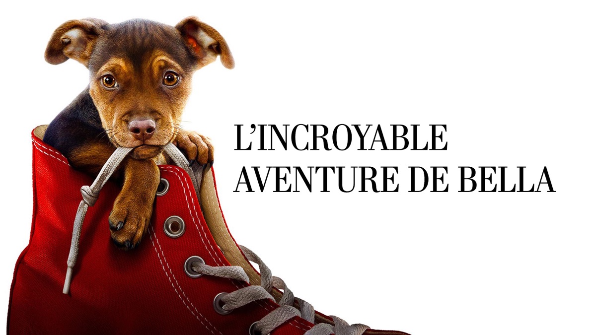 L Incroyable Aventure De Bella Streaming