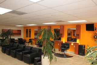 The Salon