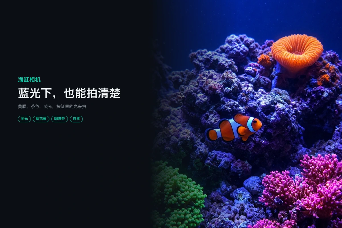 海缸相机 search result