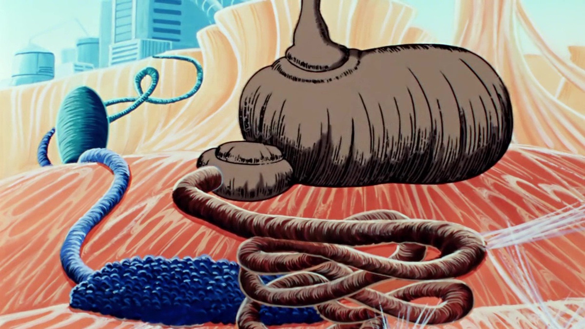 ‎Digestion - Once Upon a Time: Life (Series 3, Episode 15) - Apple TV (FR)