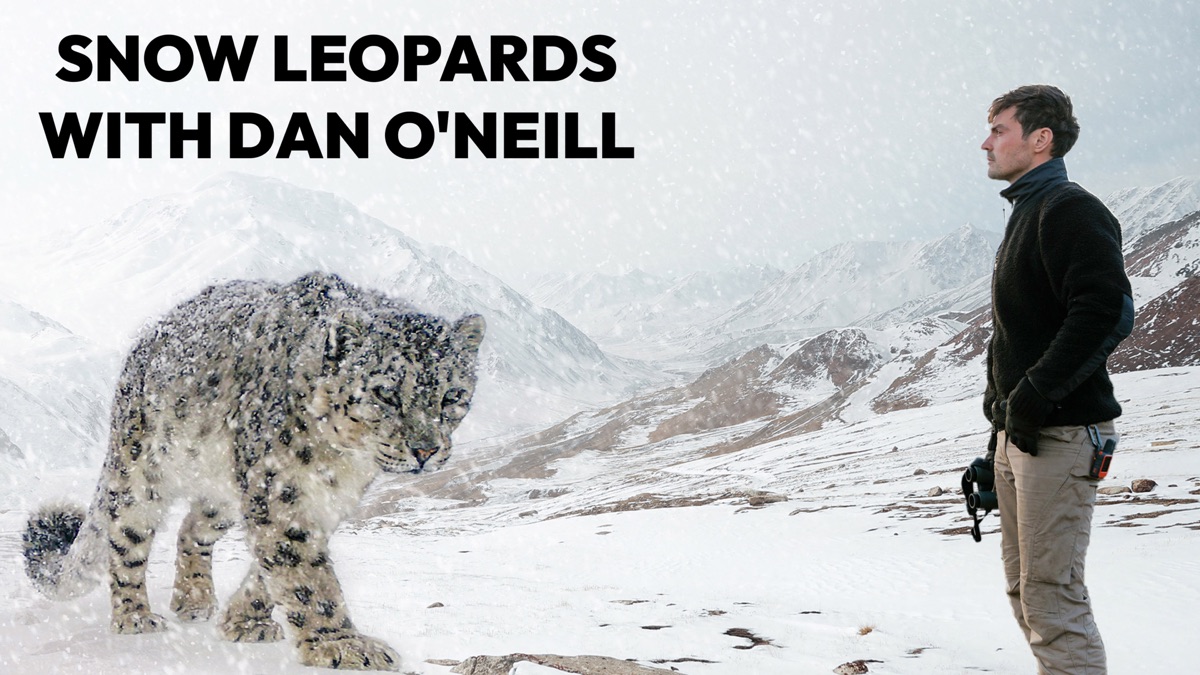 ‎Snow Leopards with Dan O'Neill Apple TV