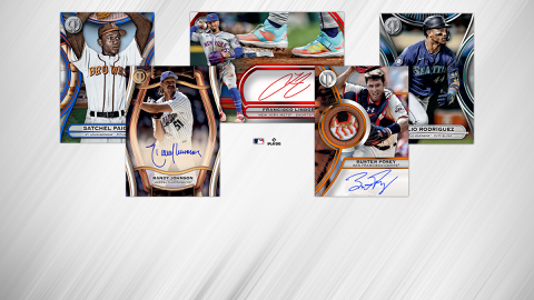 Read more about Tribute 2025 Collection